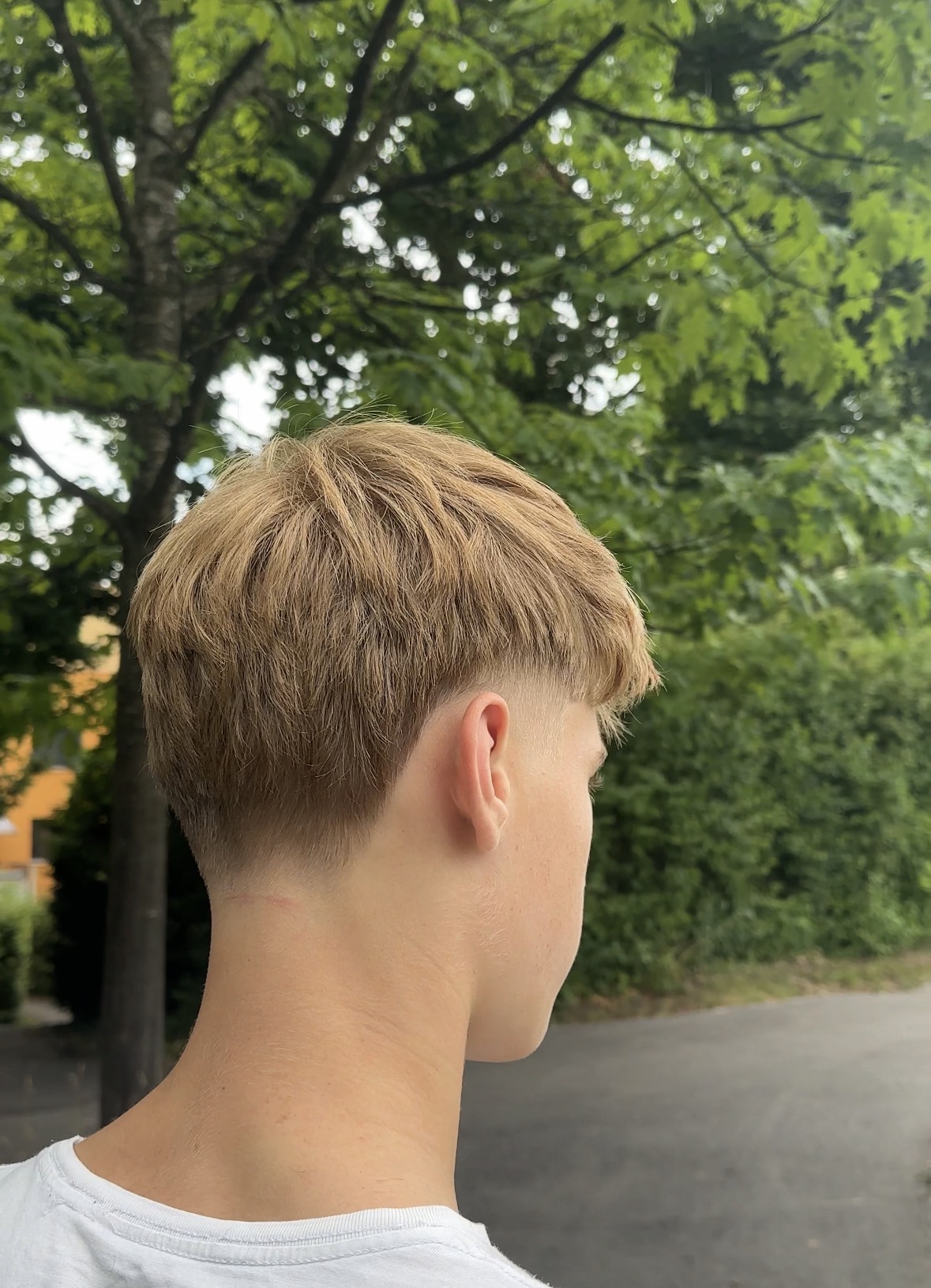 Textured Crop mit Tape Fade